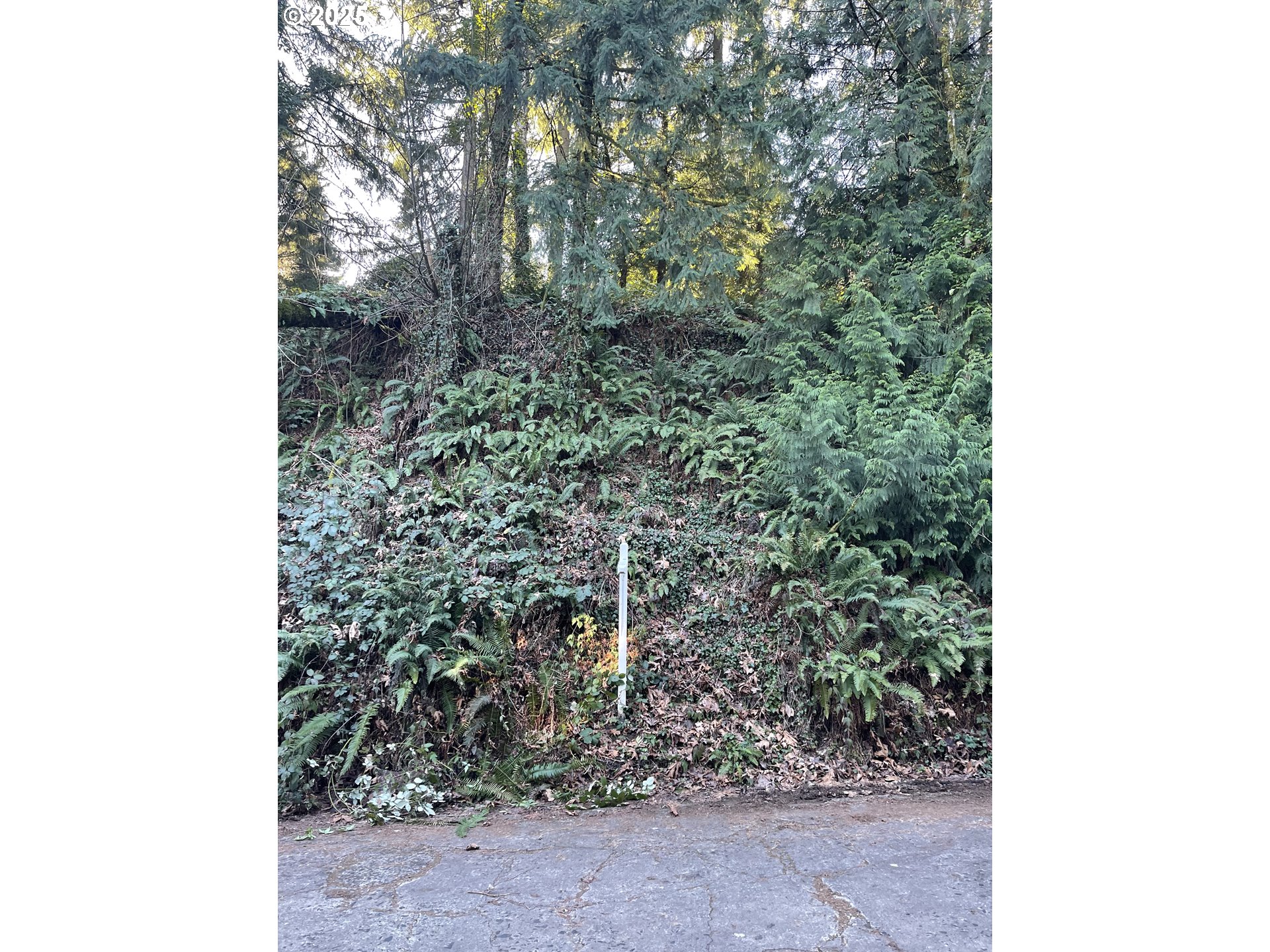 Sw Champlain Dr Property Photo 2