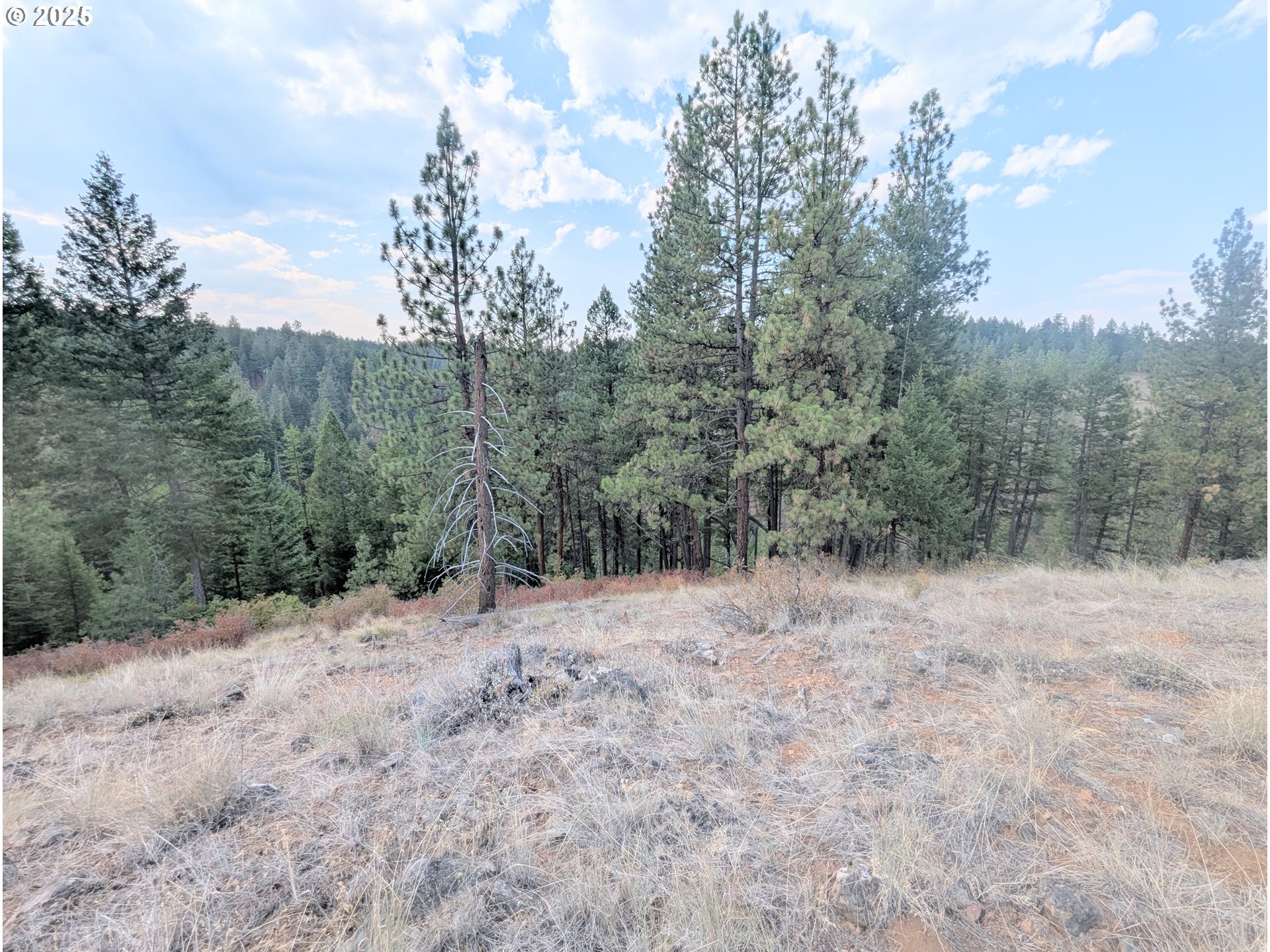 0 Fs Rd 3106 Property Photo 32