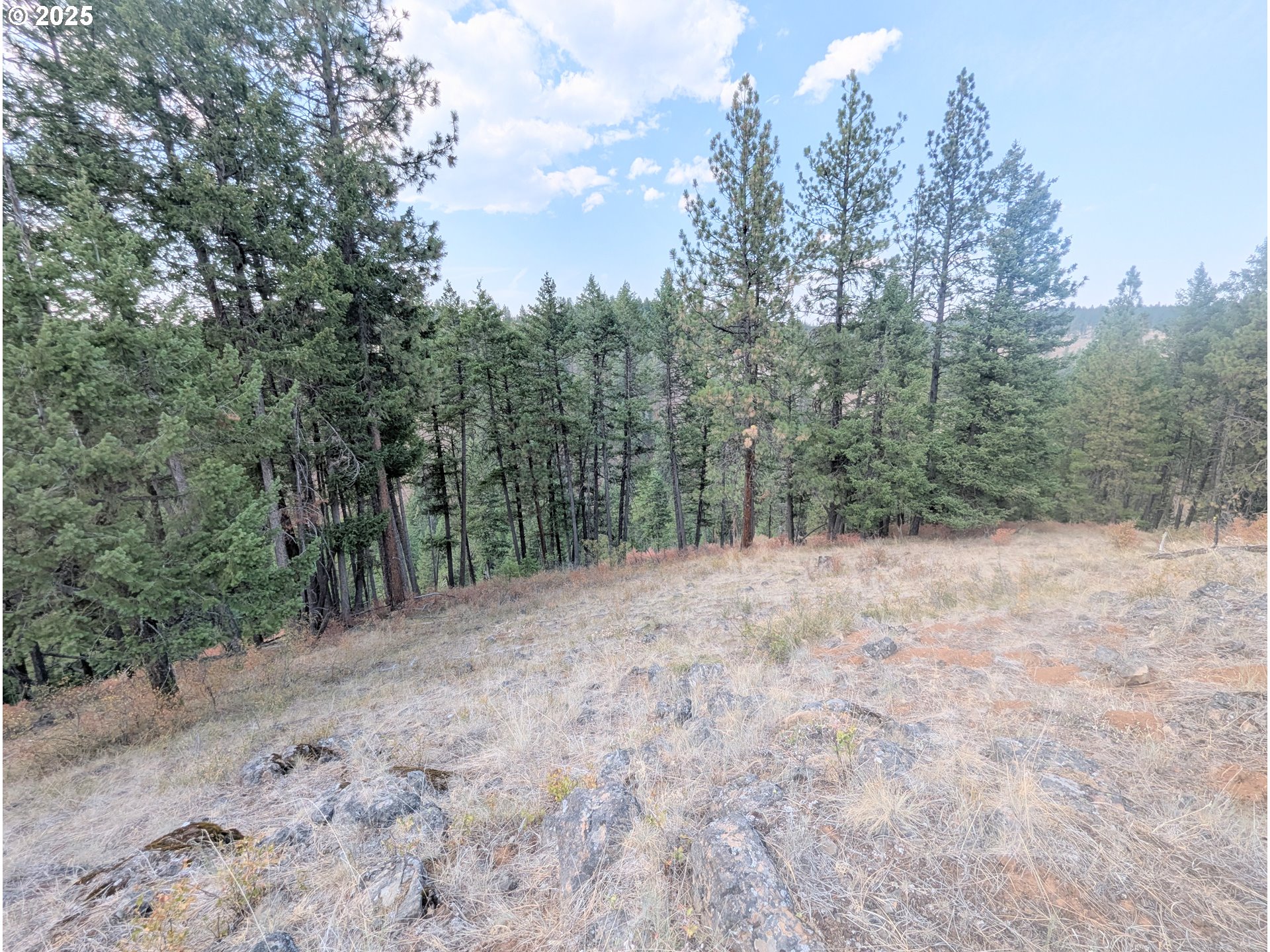 0 Fs Rd 3106 Property Photo 34