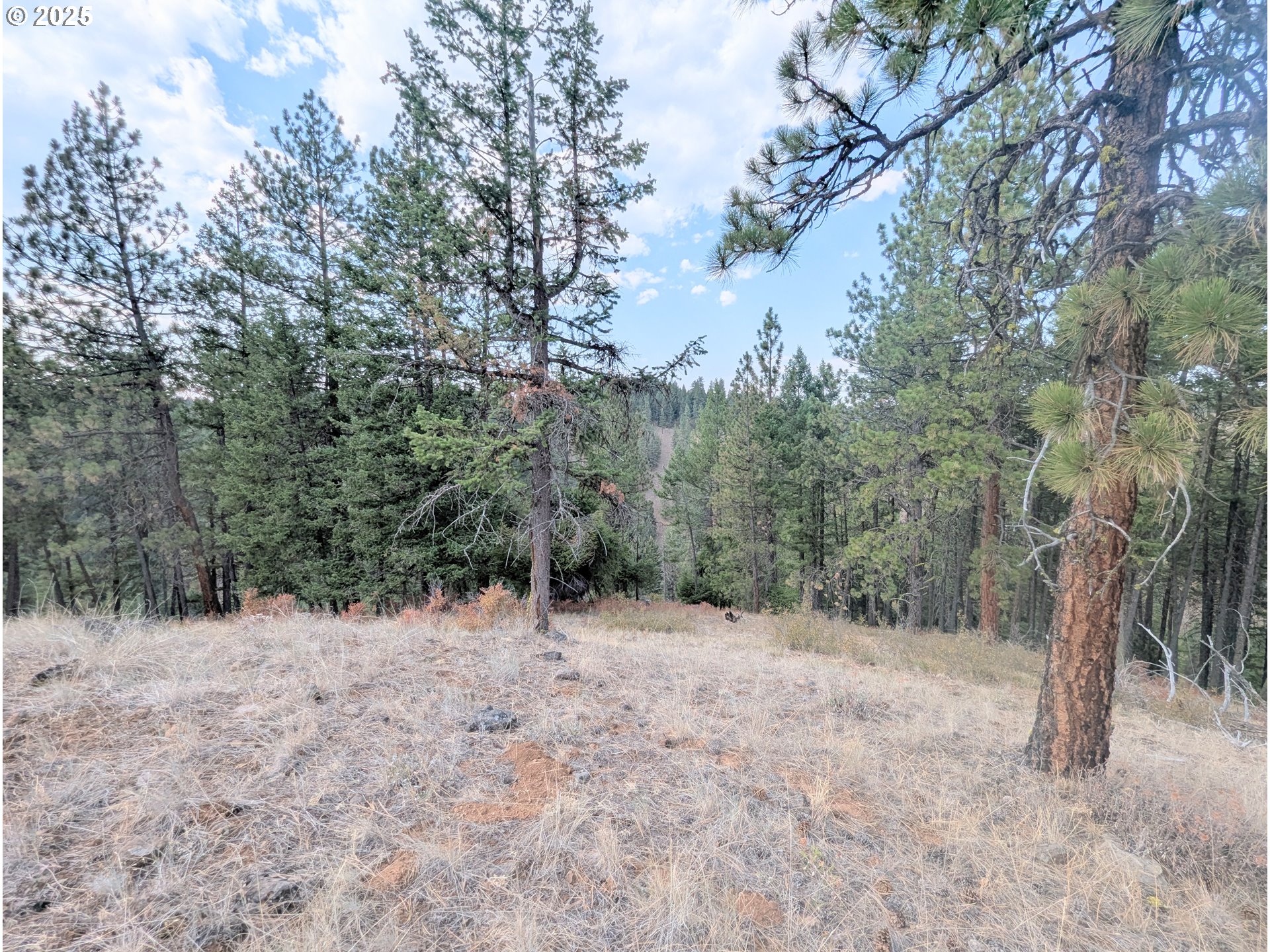 0 Fs Rd 3106 Property Photo 35