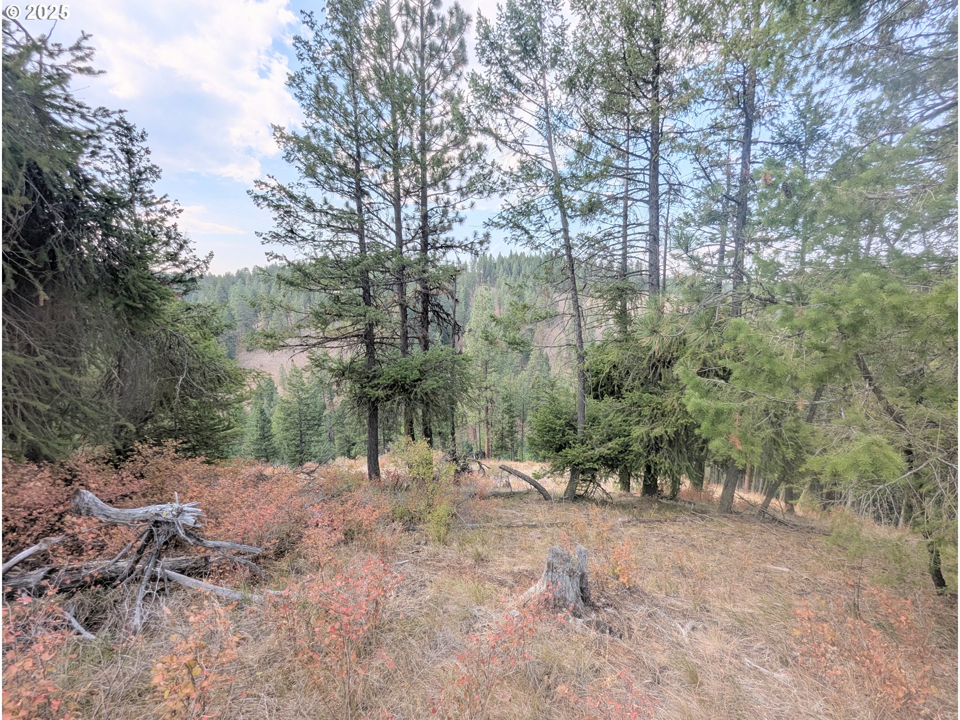 0 Fs Rd 3106 Property Photo 36