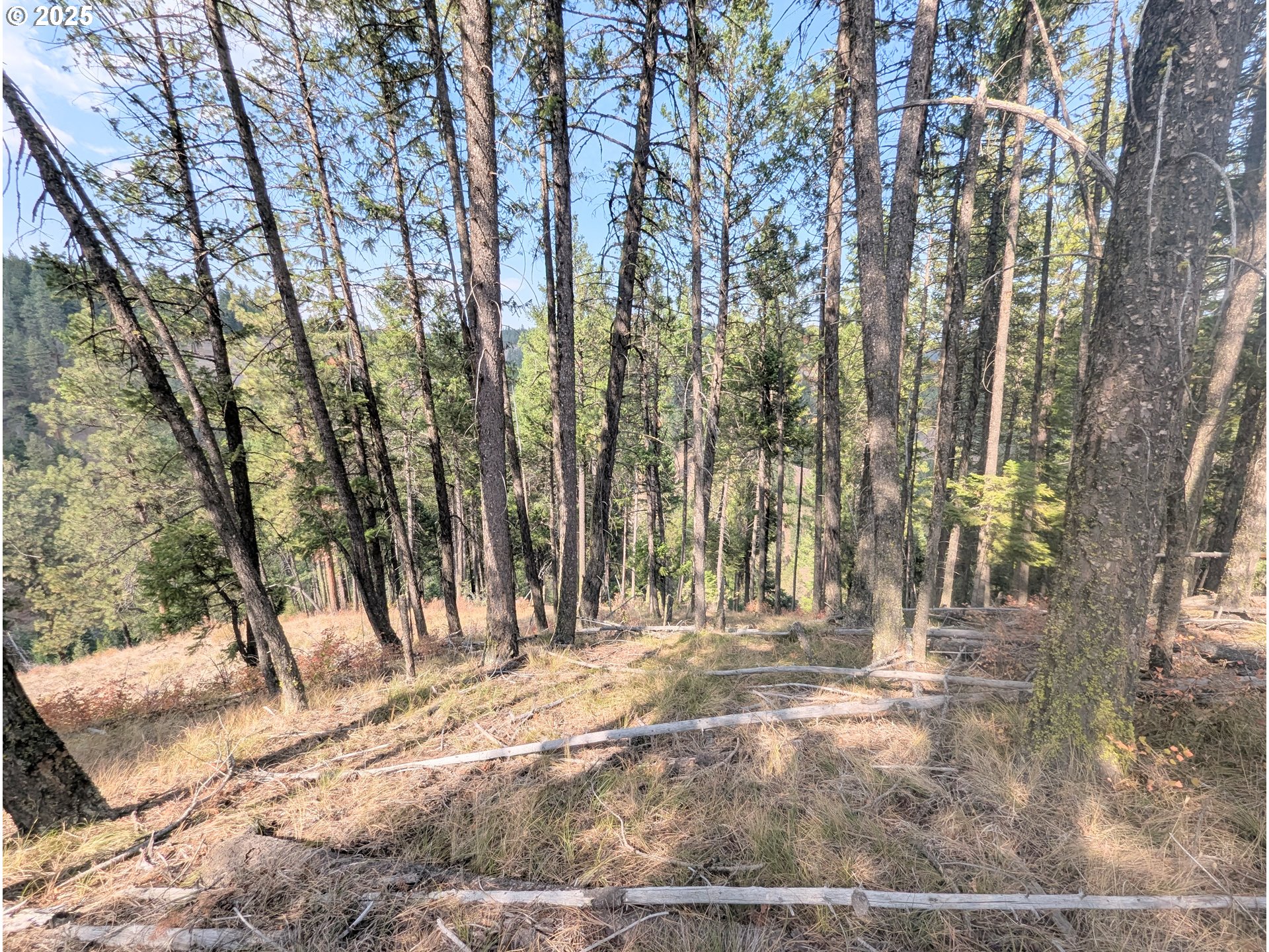 0 Fs Rd 3106 Property Photo 37