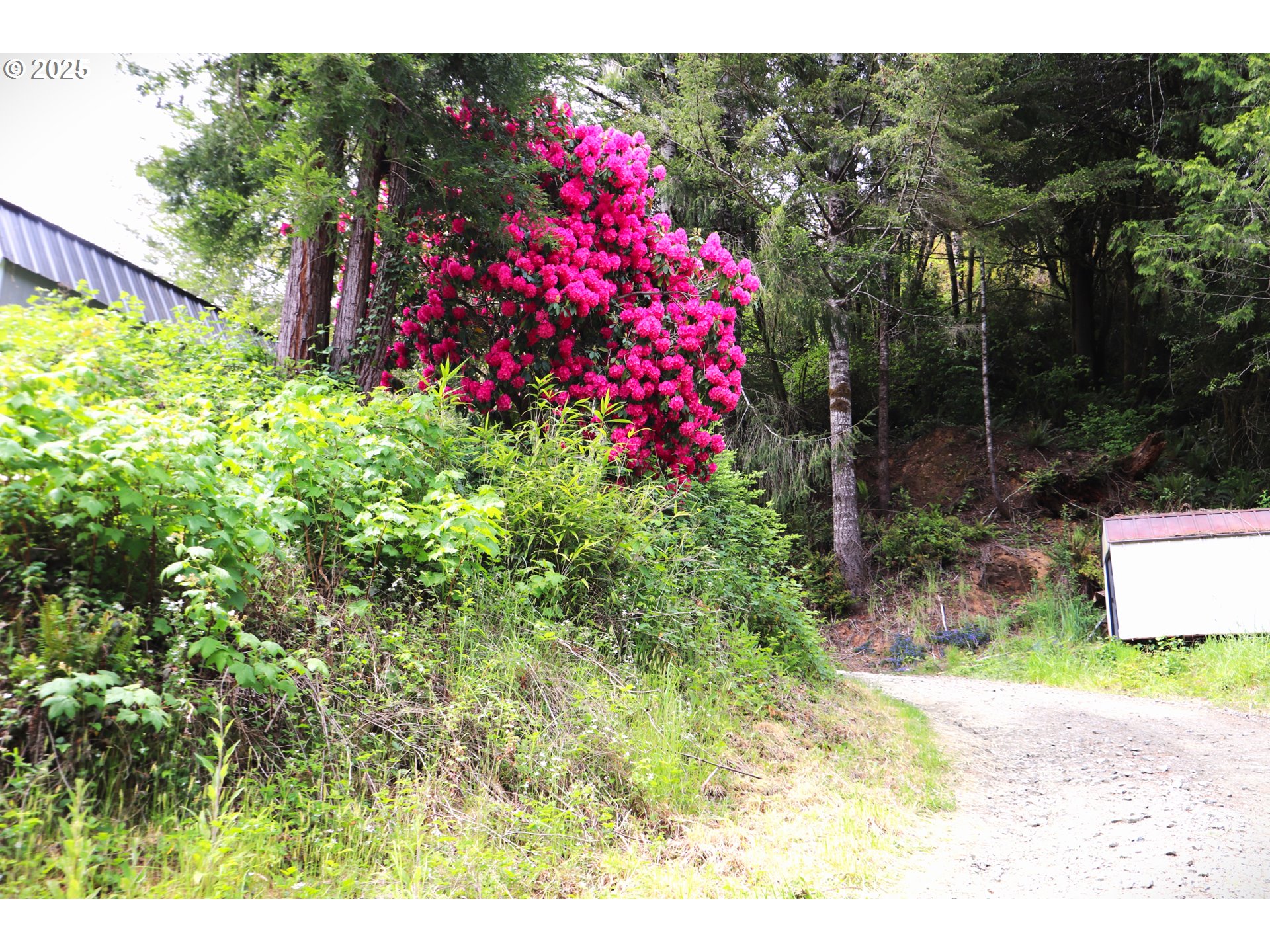68814 W Fork Millicoma Rd Property Photo 14