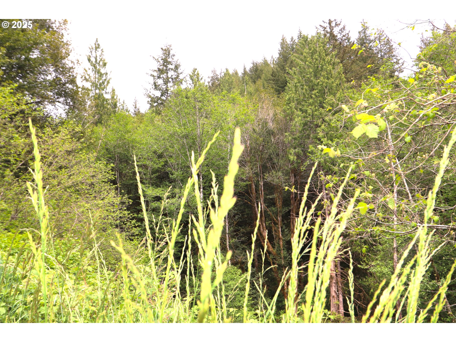68814 W Fork Millicoma Rd Property Photo 15