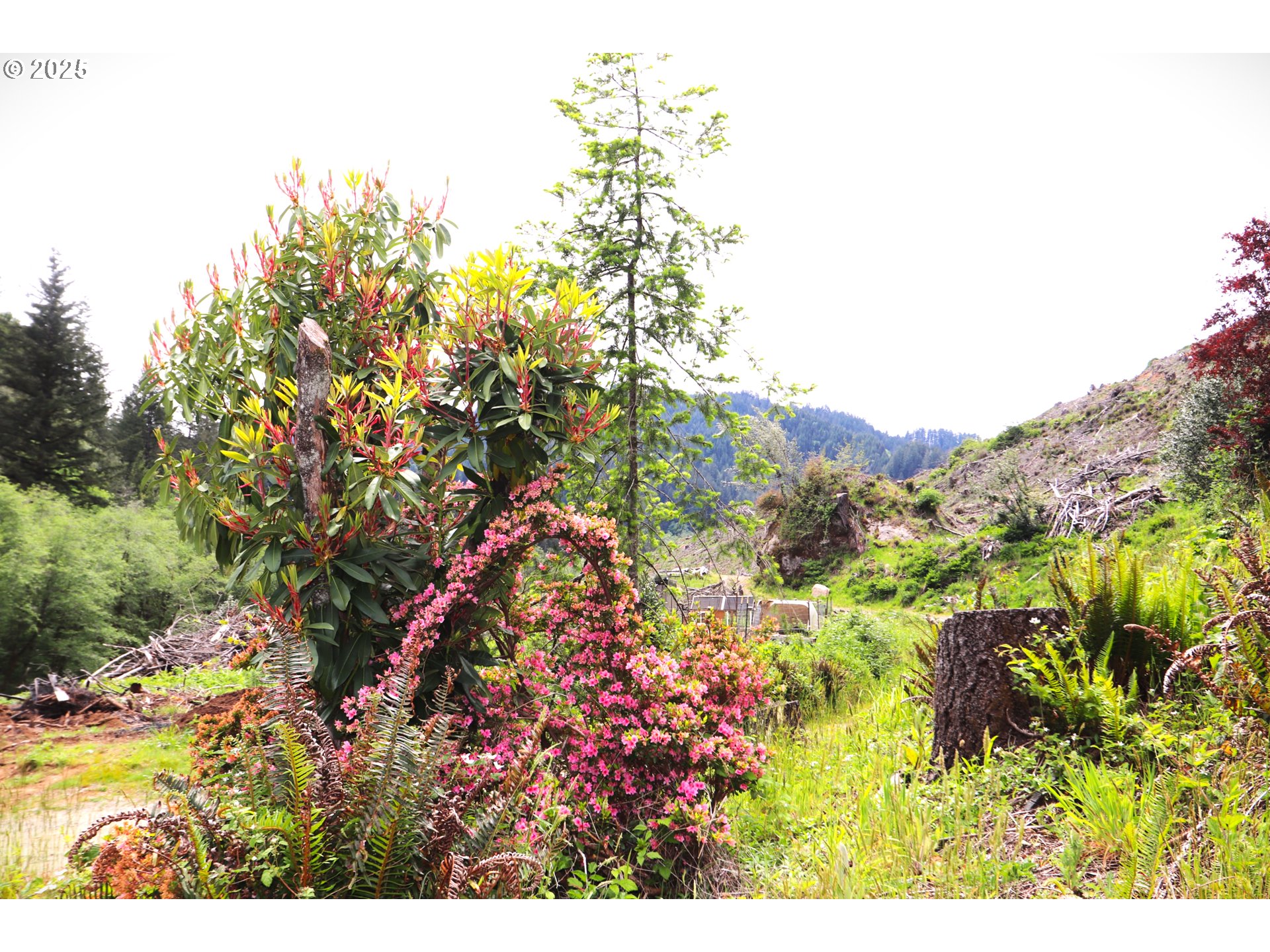 68814 W Fork Millicoma Rd Property Photo 16