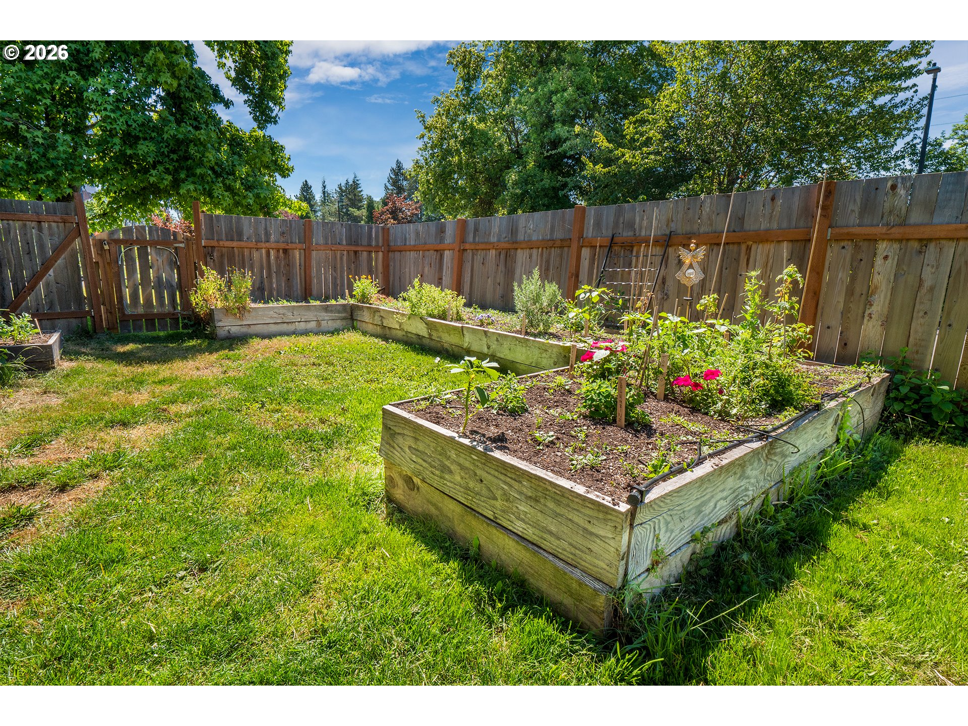 3703 Peppertree Dr Property Photo 29
