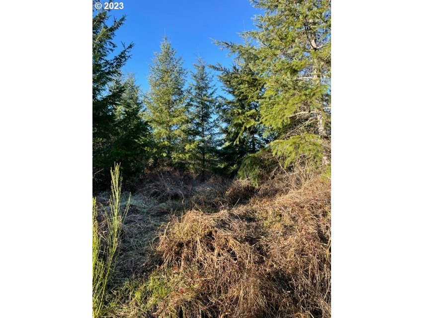 00 Buck Hollow (18) Rd Property Photo 2