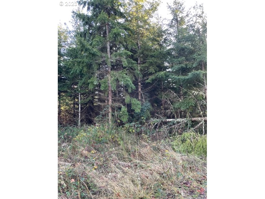 00 Buck Hollow (18) Rd Property Photo 6