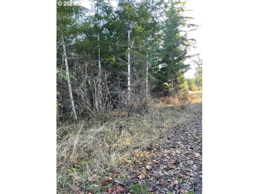00 Buck Hollow (18) Rd Property Photo 8