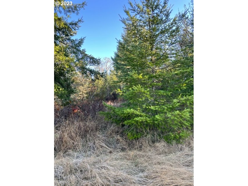 00 Buck Hollow (18) Rd Property Photo 10