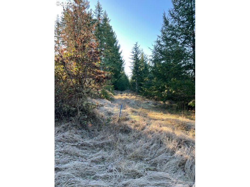 00 Buck Hollow (18) Rd Property Photo 11