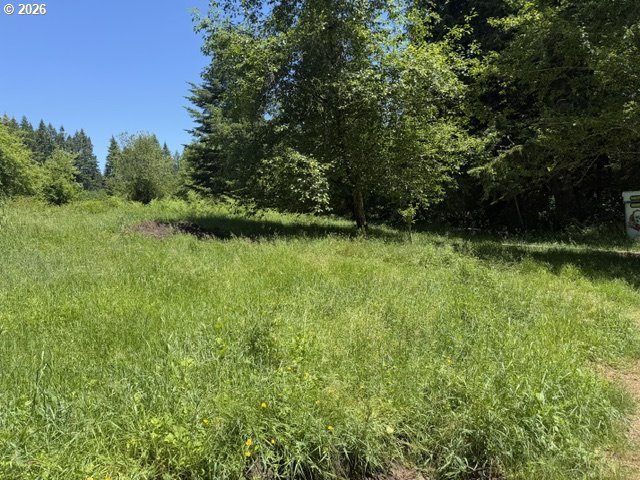 82467 Crowder Rd Property Photo 7
