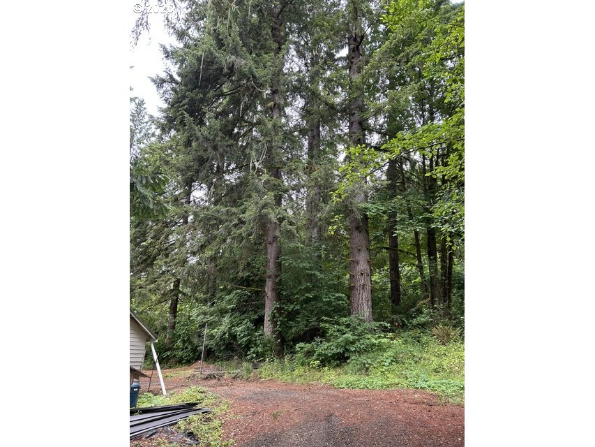 82467 Crowder Rd Property Photo 17