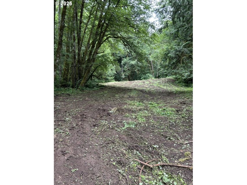 82467 Crowder Rd Property Photo 19