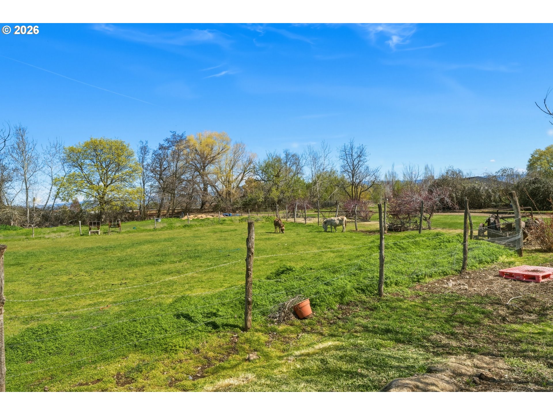 85598 Meissner Ln Property Photo 23