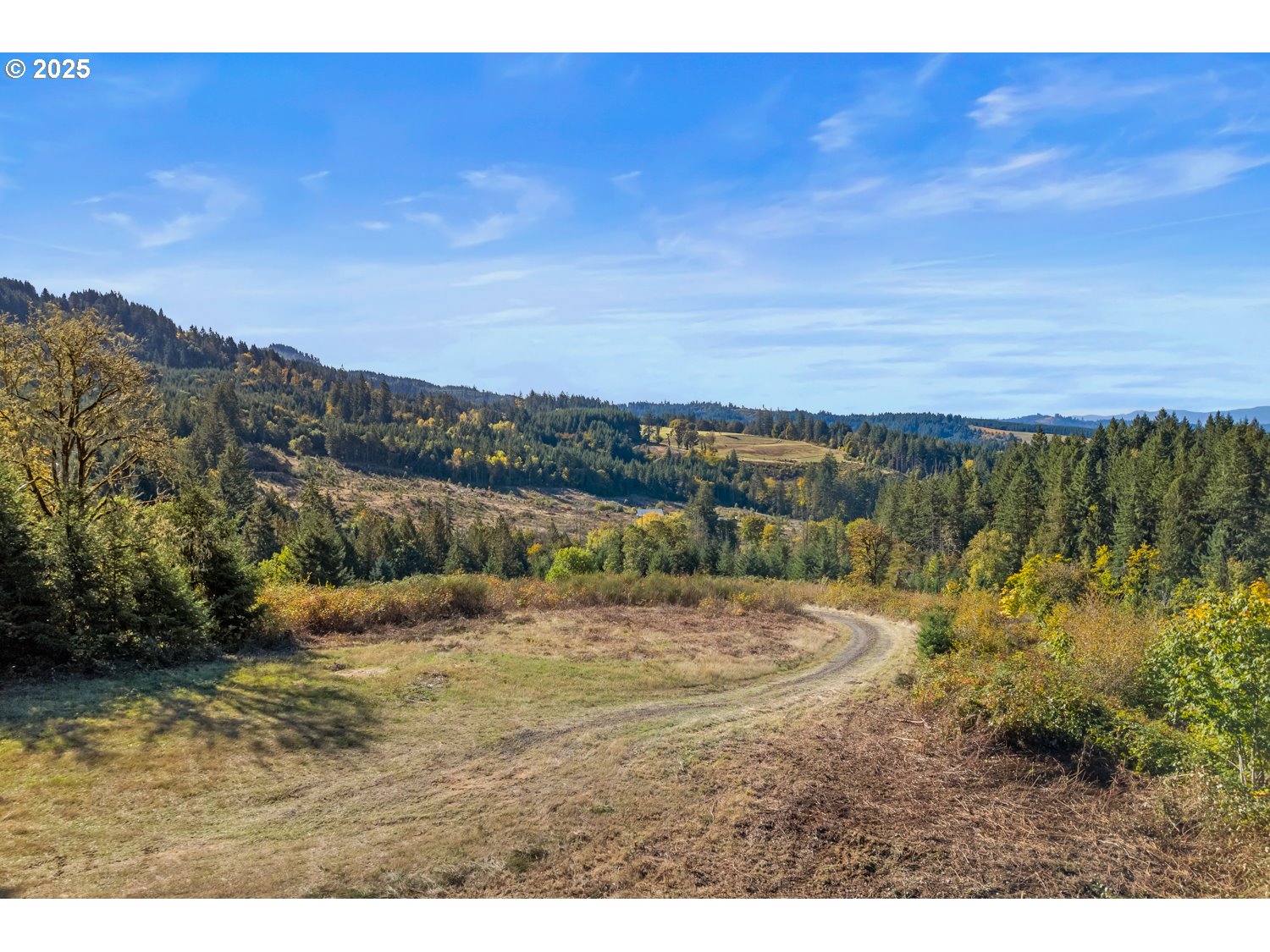 37251 Sw Thimbleberry Dr Property Photo 1