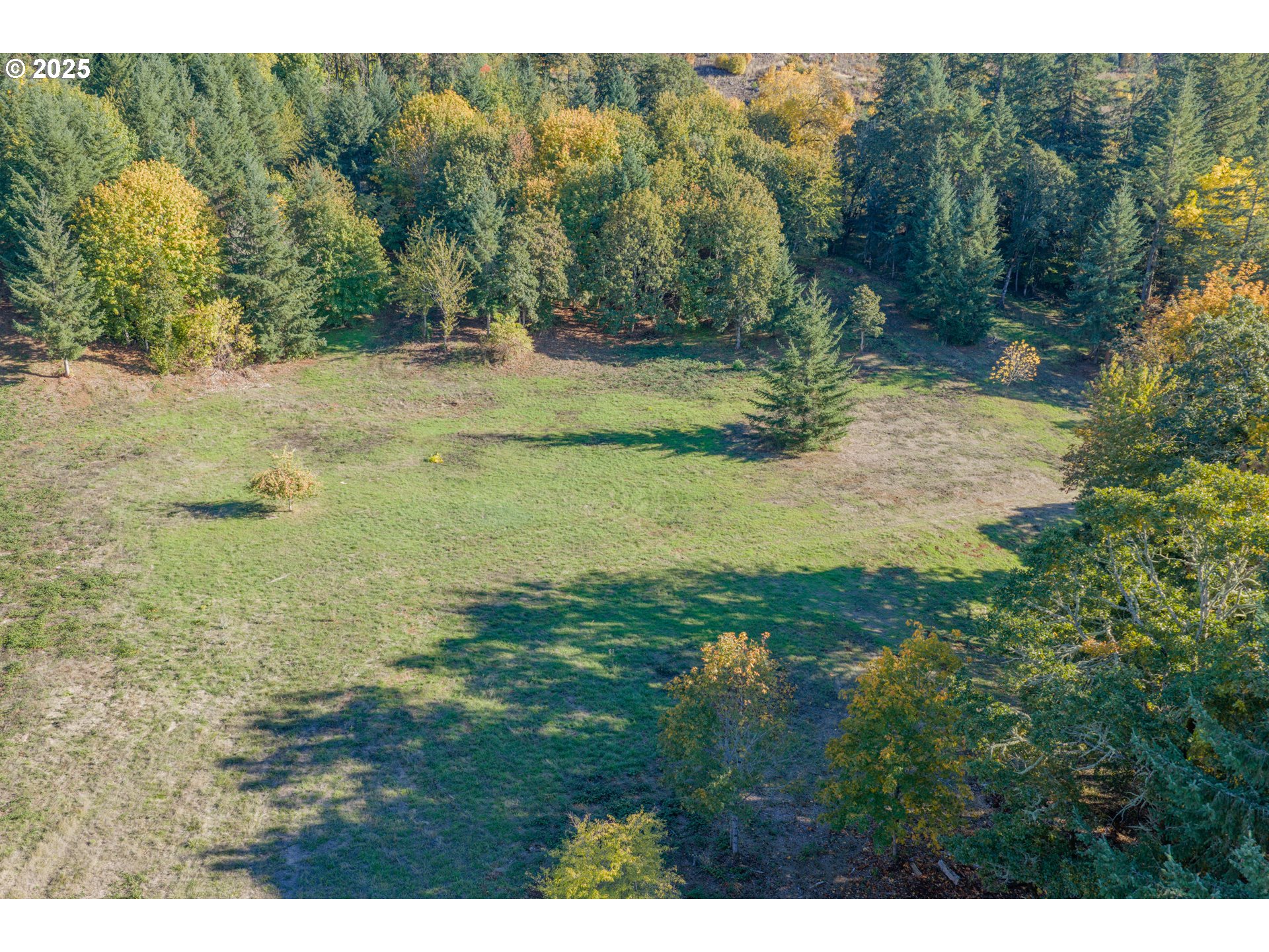 4204 Riverdale Rd S Property Photo 4