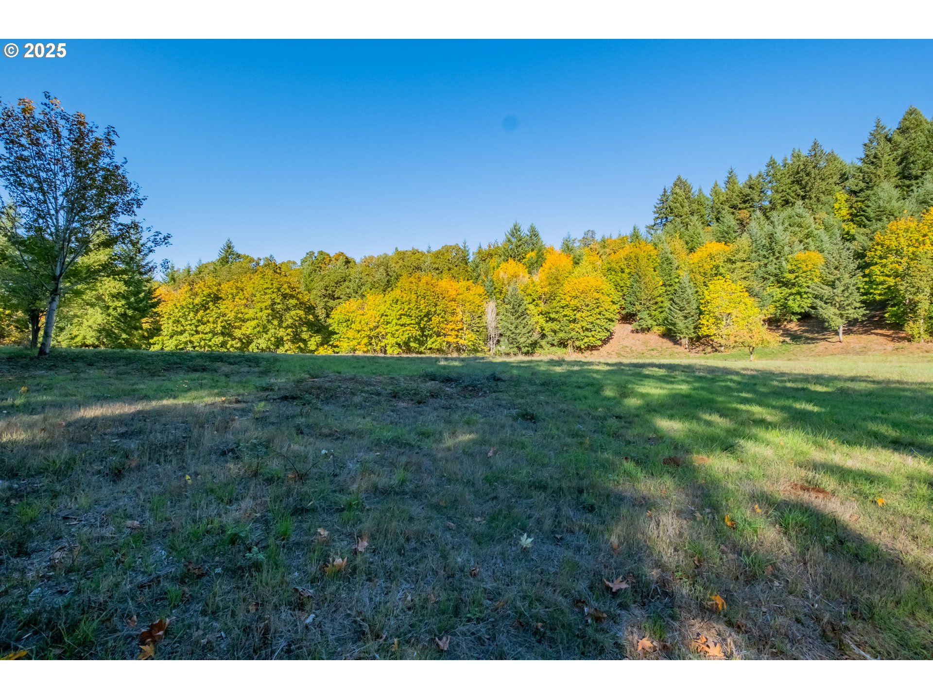 4204 Riverdale Rd S Property Photo 9