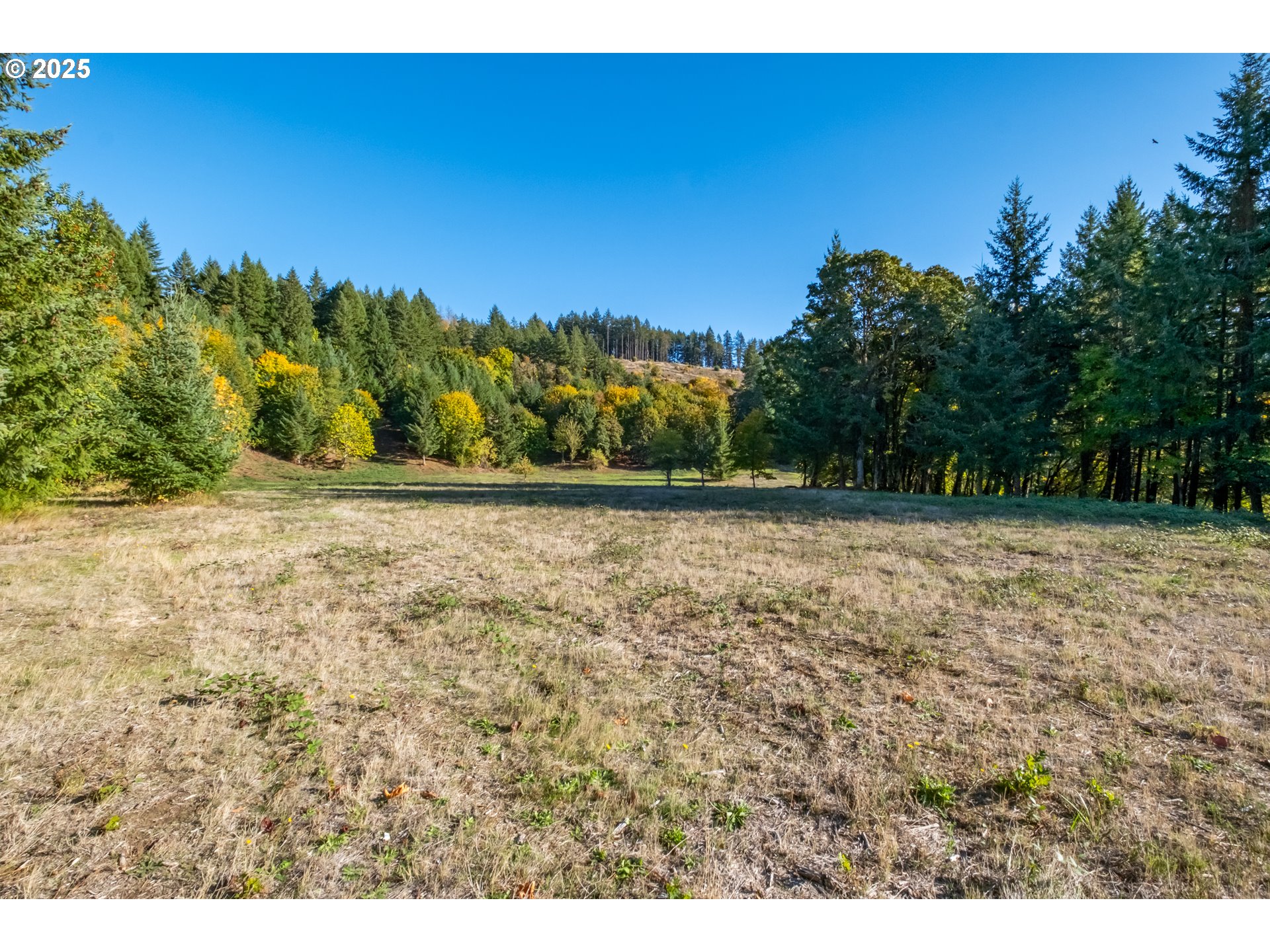 4204 Riverdale Rd S Property Photo 17