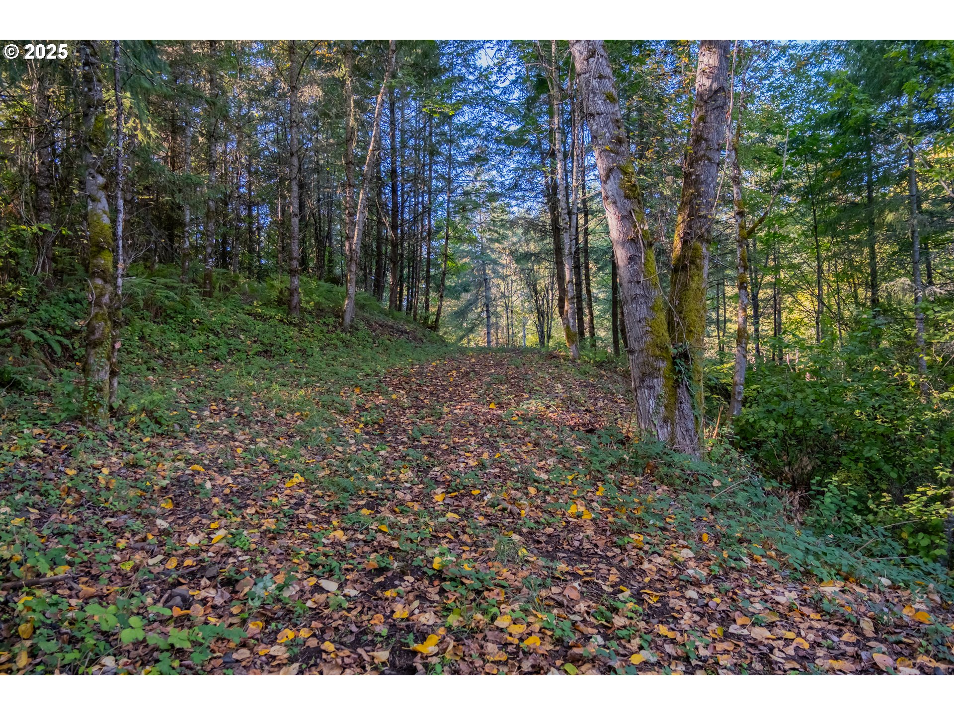 4204 Riverdale Rd S Property Photo 28