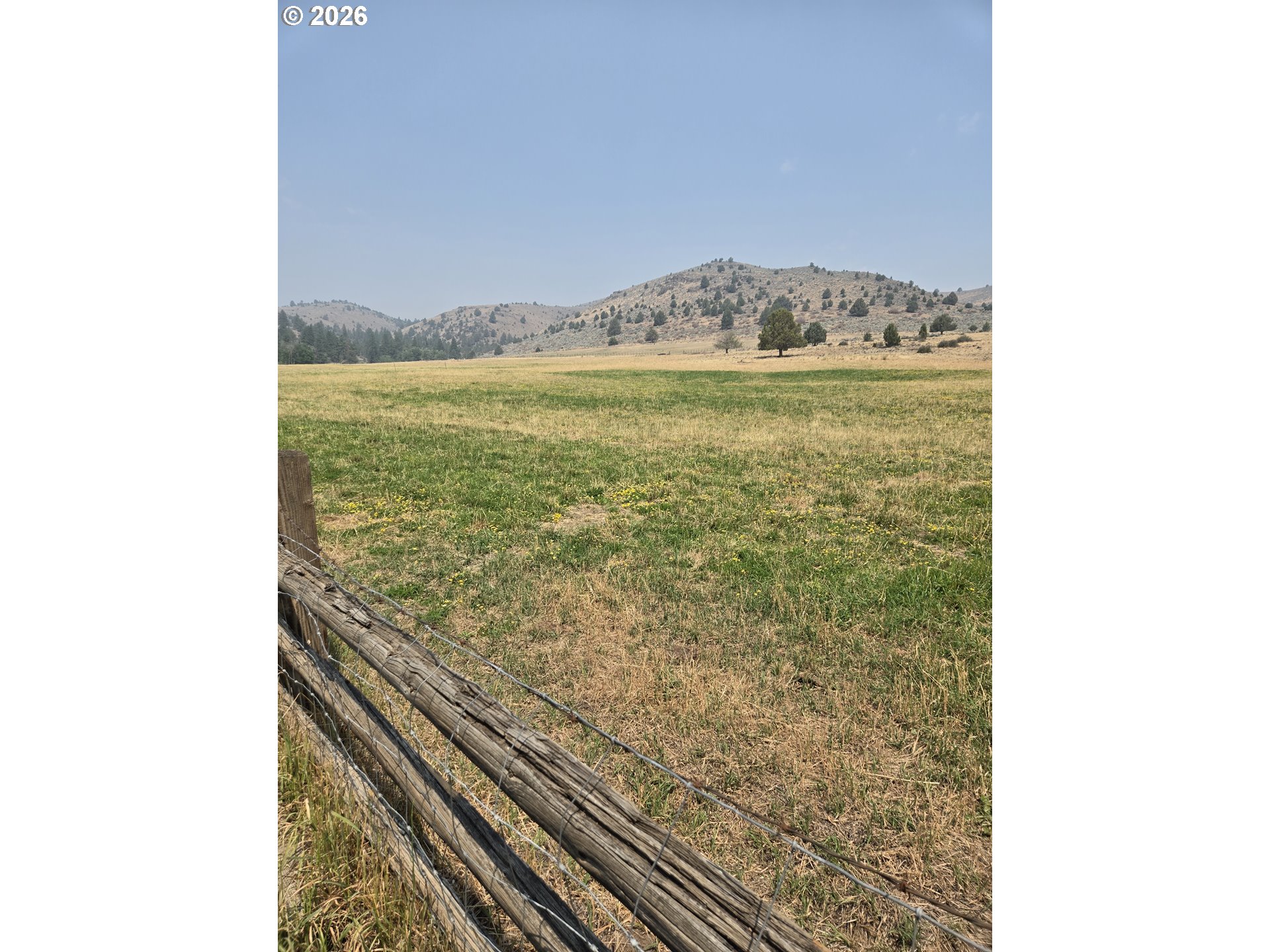 18392 Griffin Gulch Ln Property Photo 3