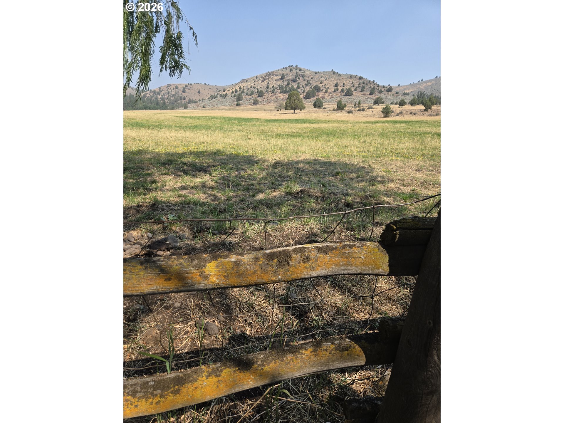 18392 Griffin Gulch Ln Property Photo 15