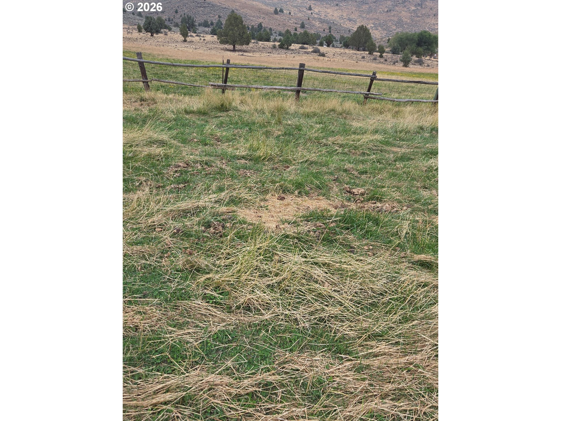 18392 Griffin Gulch Ln Property Photo 24