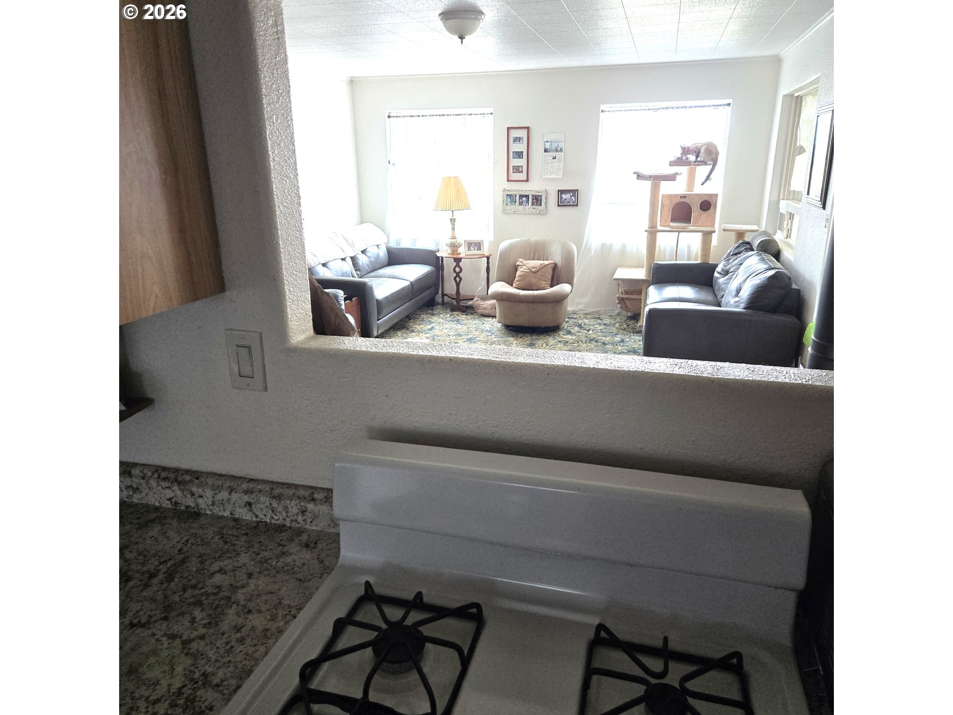 18392 Griffin Gulch Ln Property Photo 30
