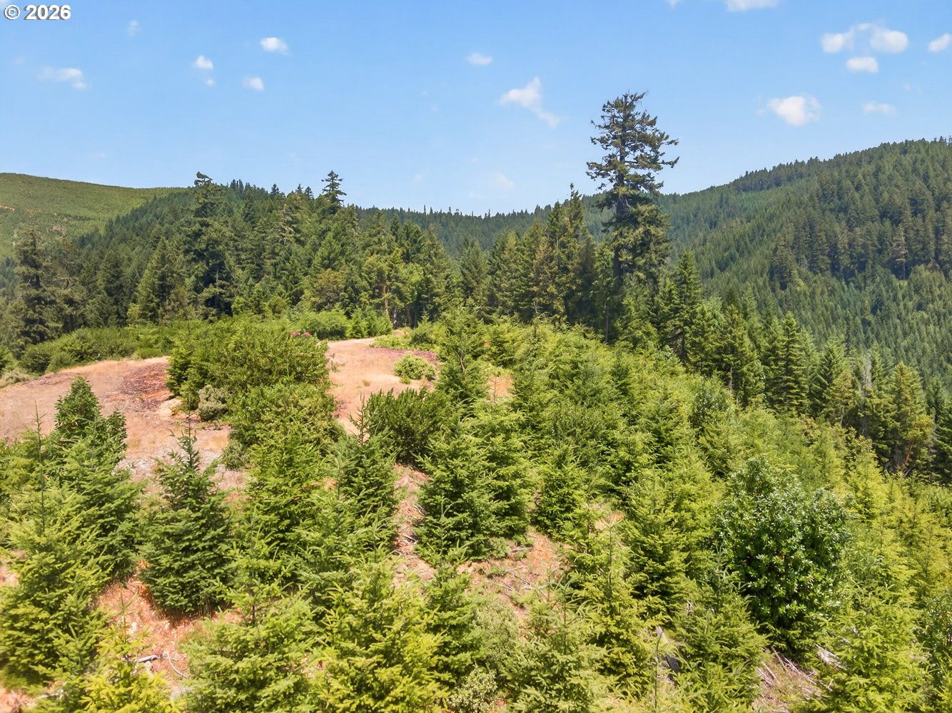 0 Upper Cow Creek Rd Property Photo 20