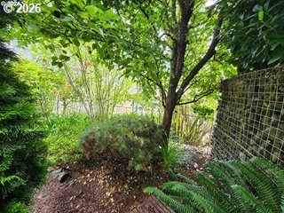 126 Kimberly Way Property Photo 27