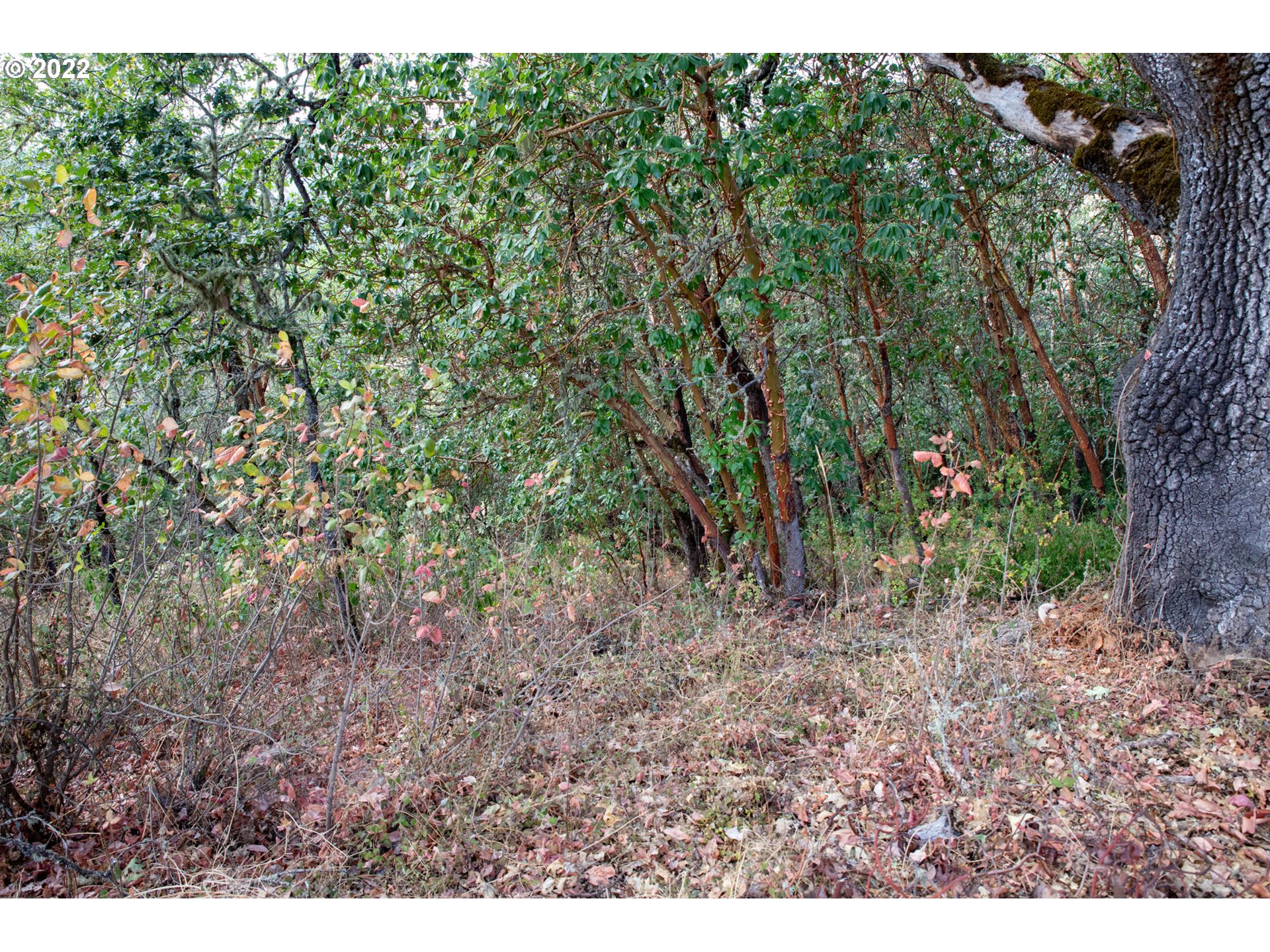 0 North Ct Property Photo 4
