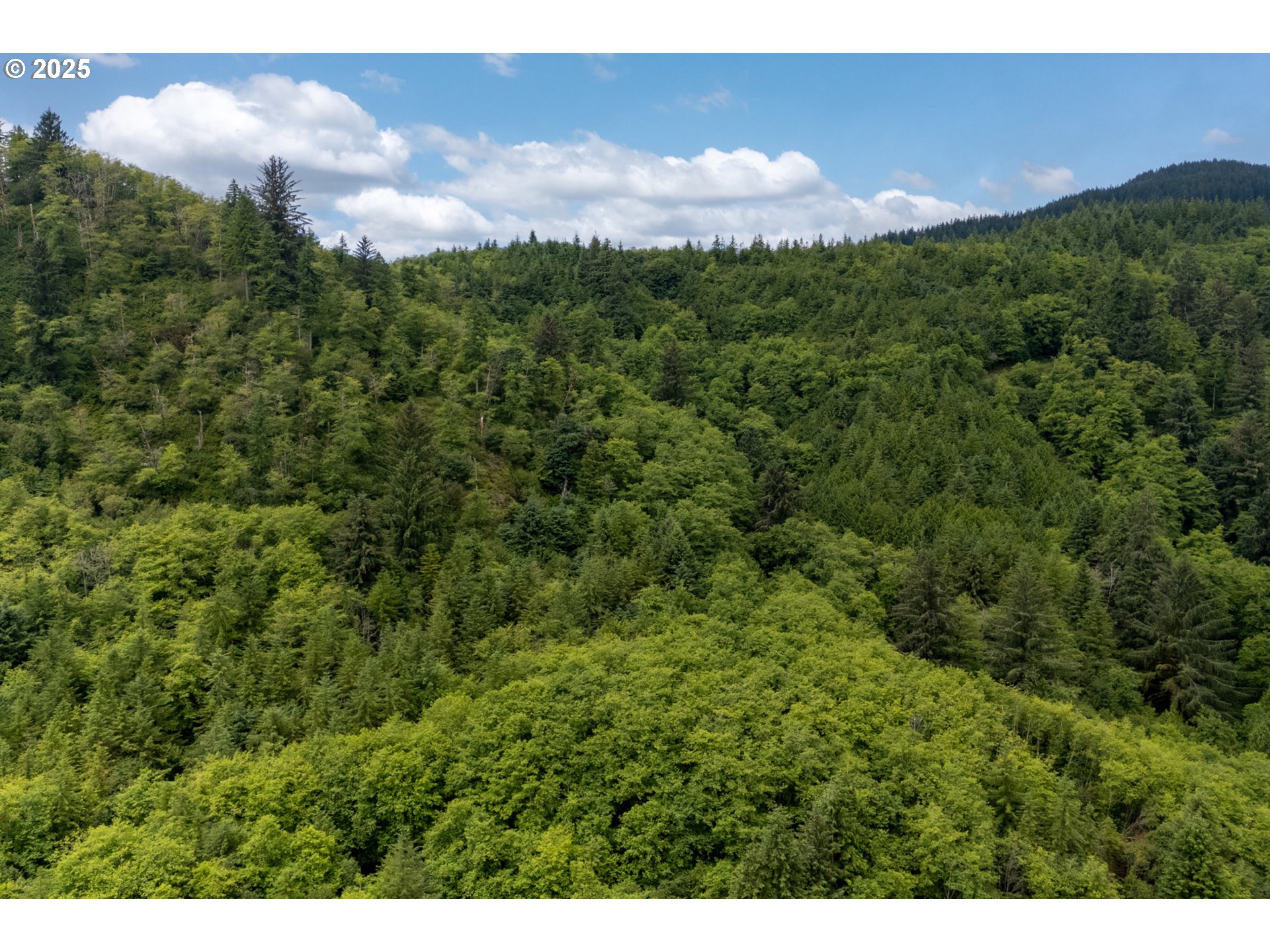 21675 Us 101 S Property Photo 11
