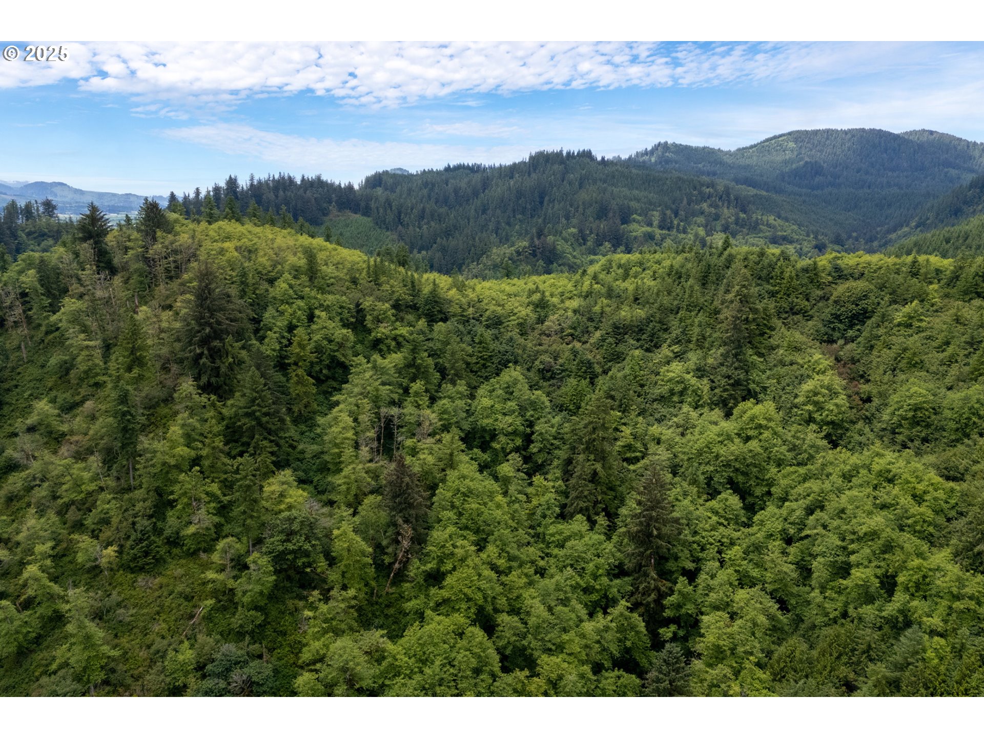 21675 Us 101 S Property Photo 14