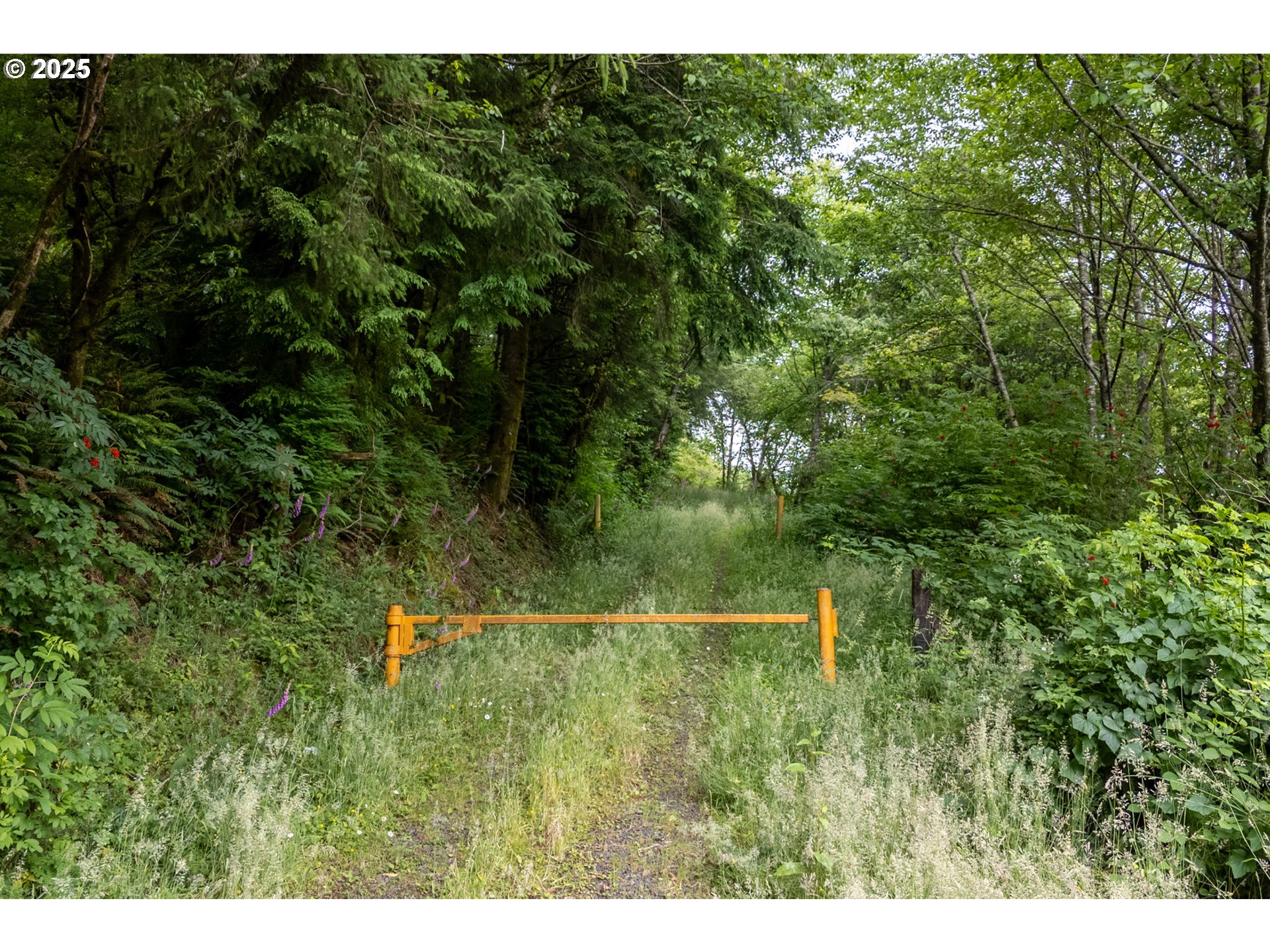 21675 Us 101 S Property Photo 16