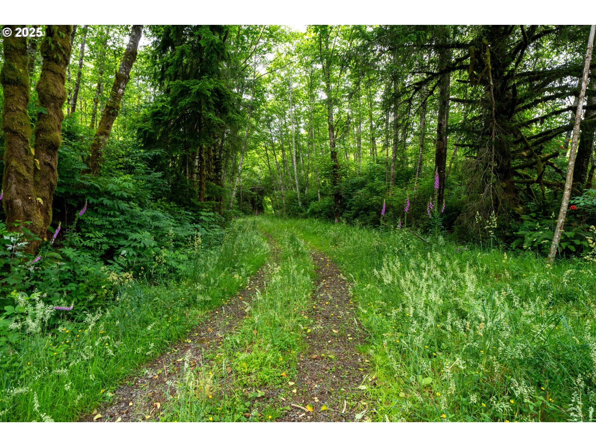 21675 Us 101 S Property Photo 17