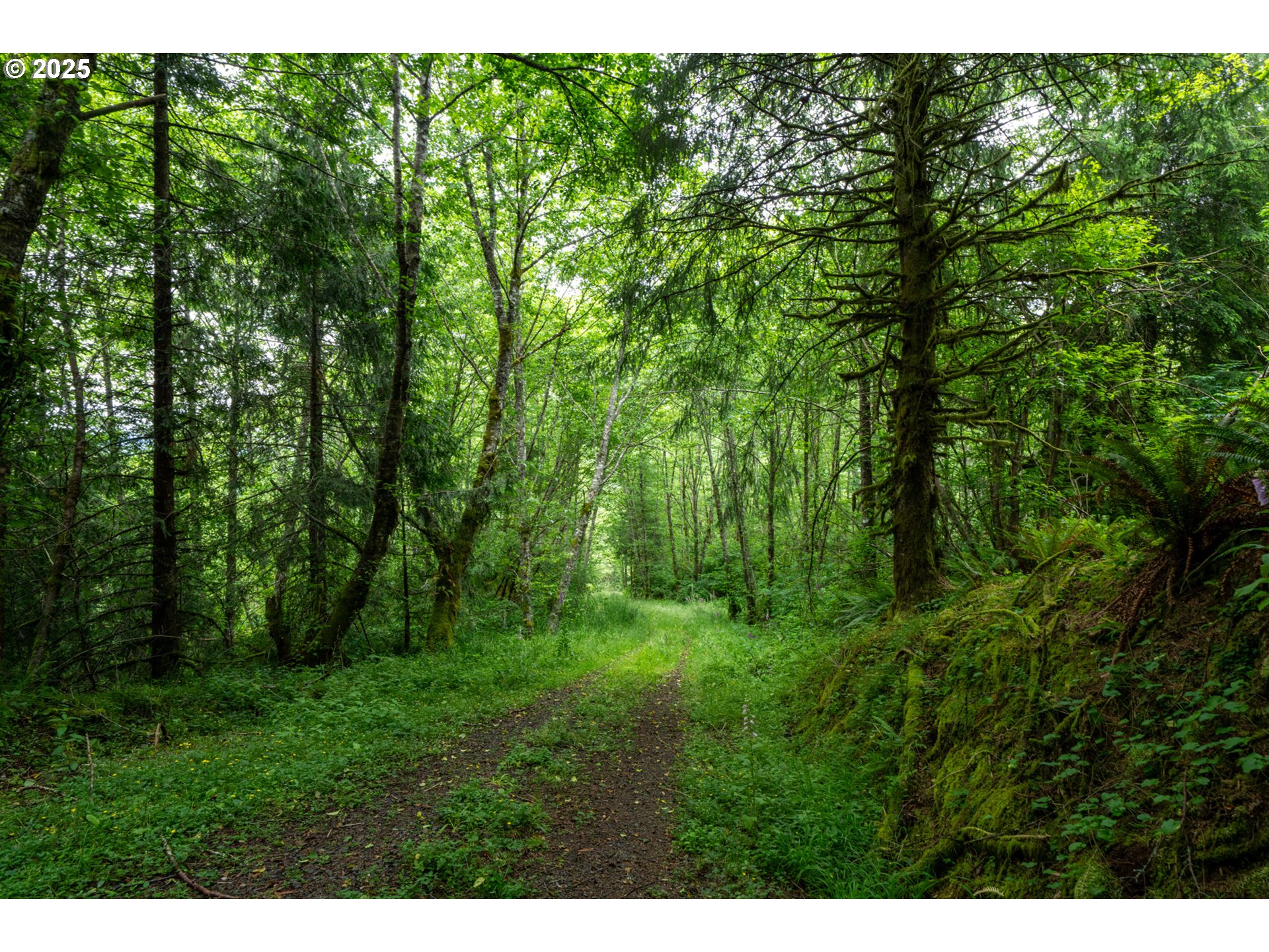21675 Us 101 S Property Photo 18