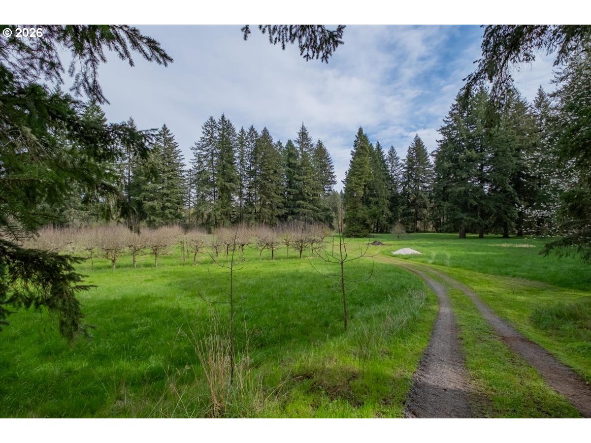 28095 Santiam Hwy Property Photo 46