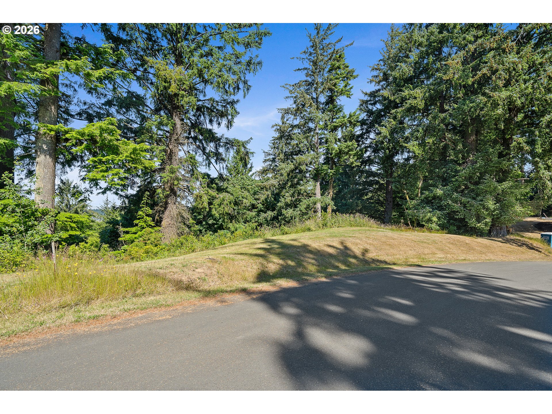 Nehalem Point Dr Tl 2000 Property Photo 7