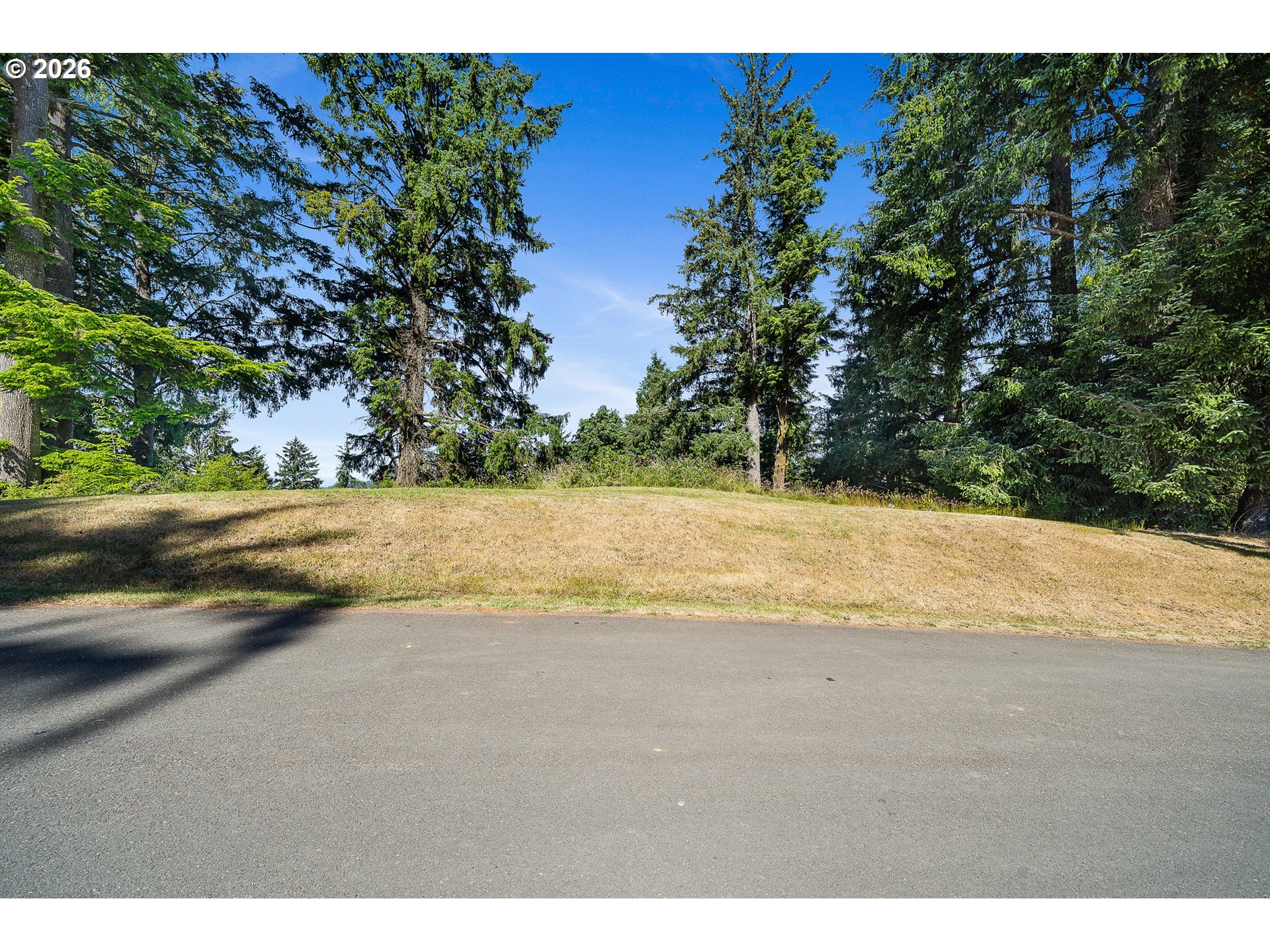 Nehalem Point Dr Tl 2000 Property Photo 8