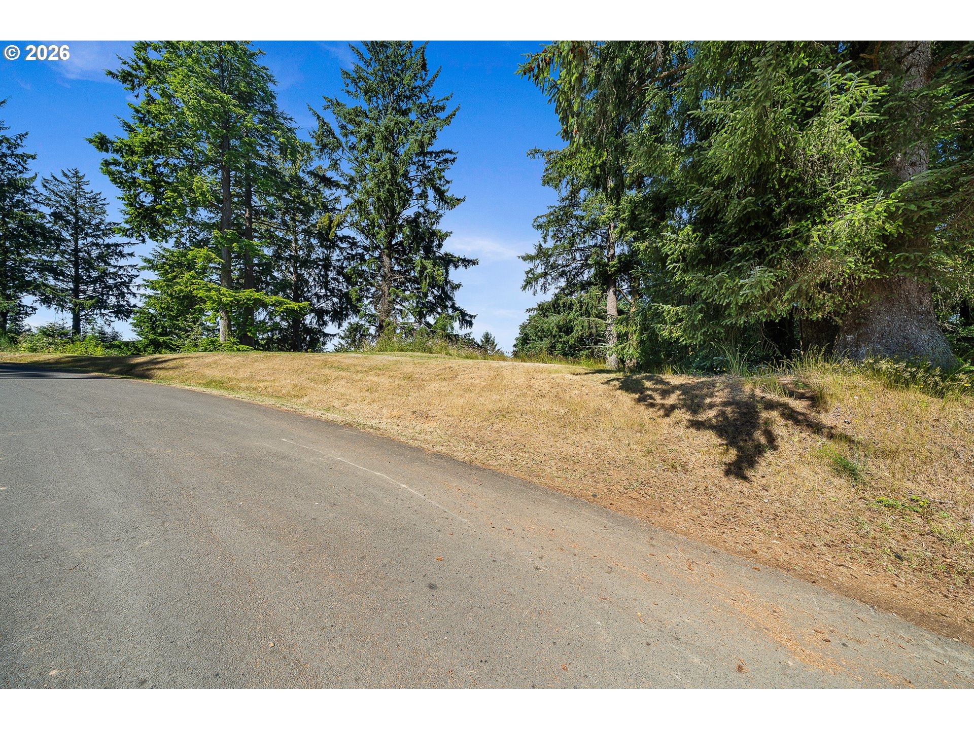 Nehalem Point Dr Tl 2000 Property Photo 9