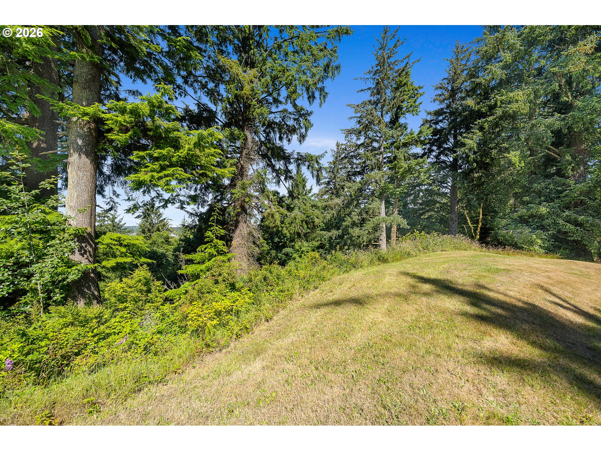 Nehalem Point Dr Tl 2000 Property Photo 10