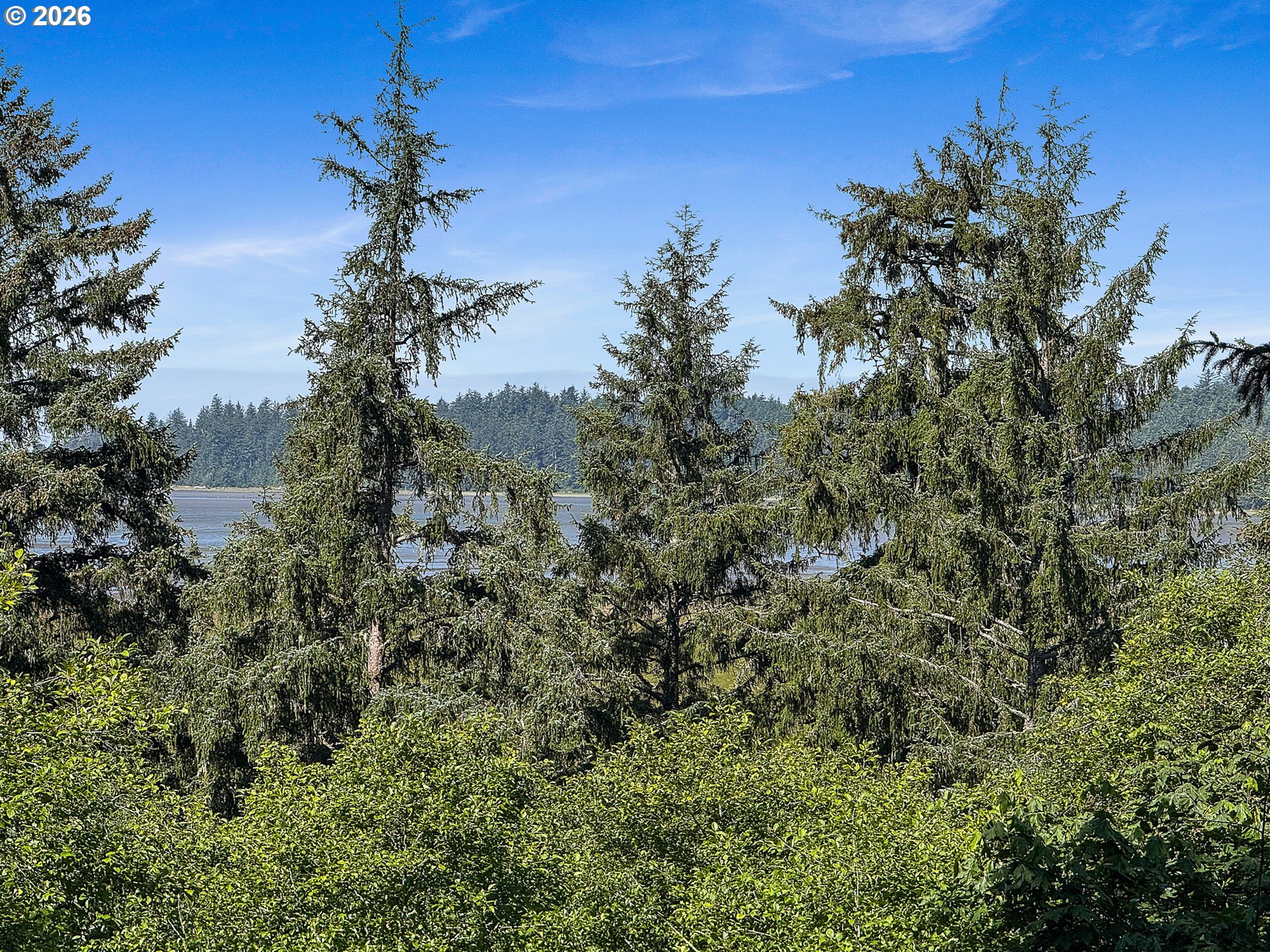 Nehalem Point Dr Tl 2000 Property Photo 11