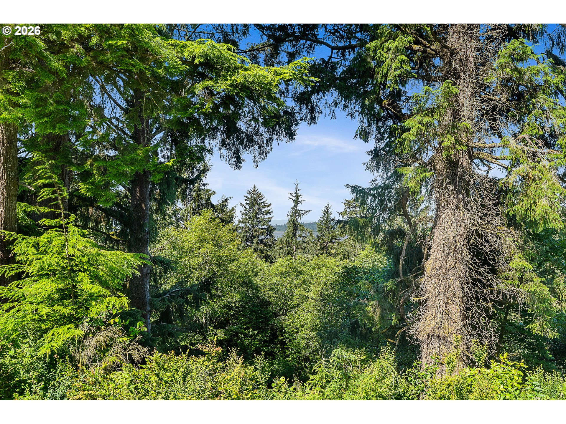 Nehalem Point Dr Tl 2000 Property Photo 12