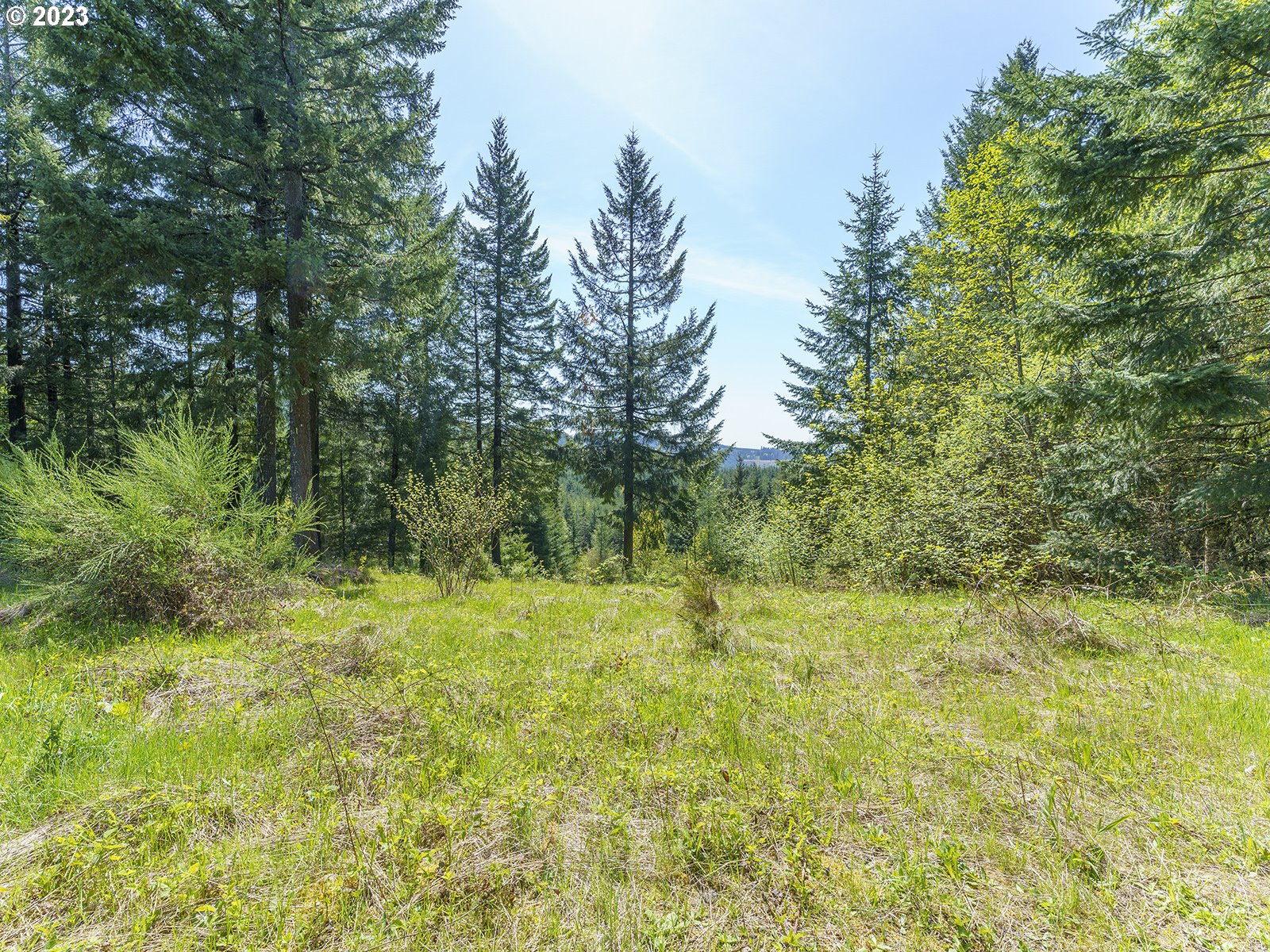 25308 Nw Mountain Dr Property Photo 1