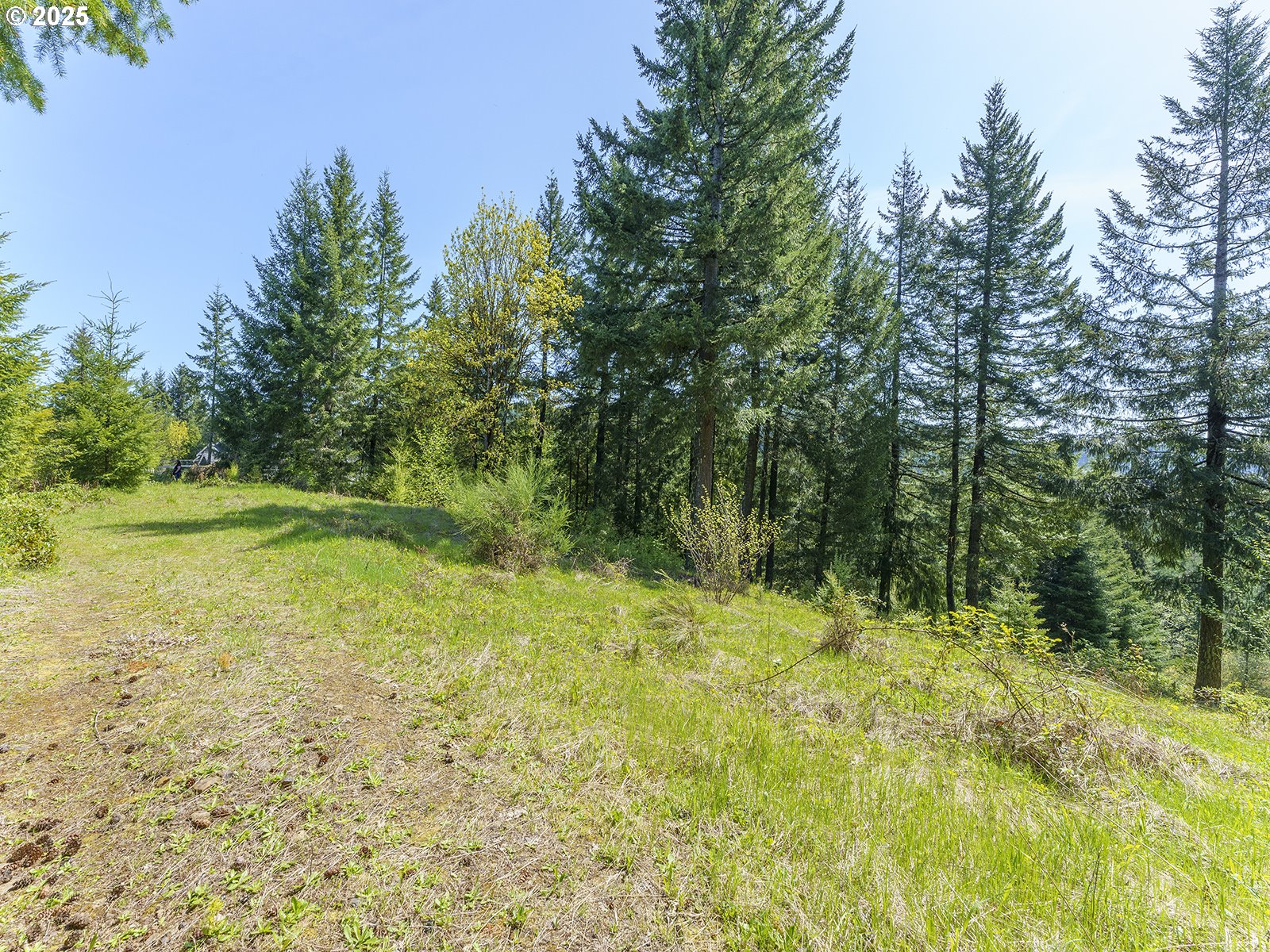 25308 Nw Mountain Dr Property Photo 2