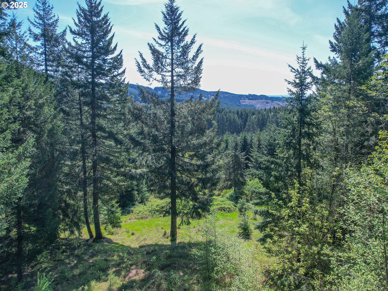 25308 Nw Mountain Dr Property Photo 5