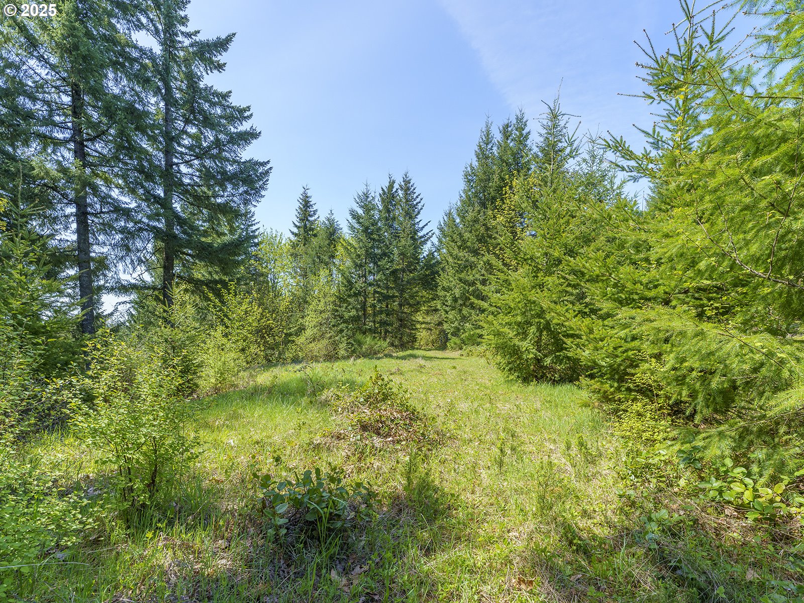 25308 Nw Mountain Dr Property Photo 6
