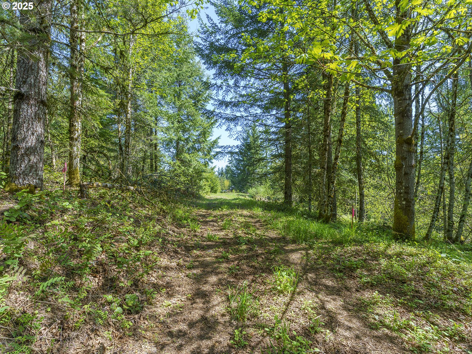 25308 Nw Mountain Dr Property Photo 7