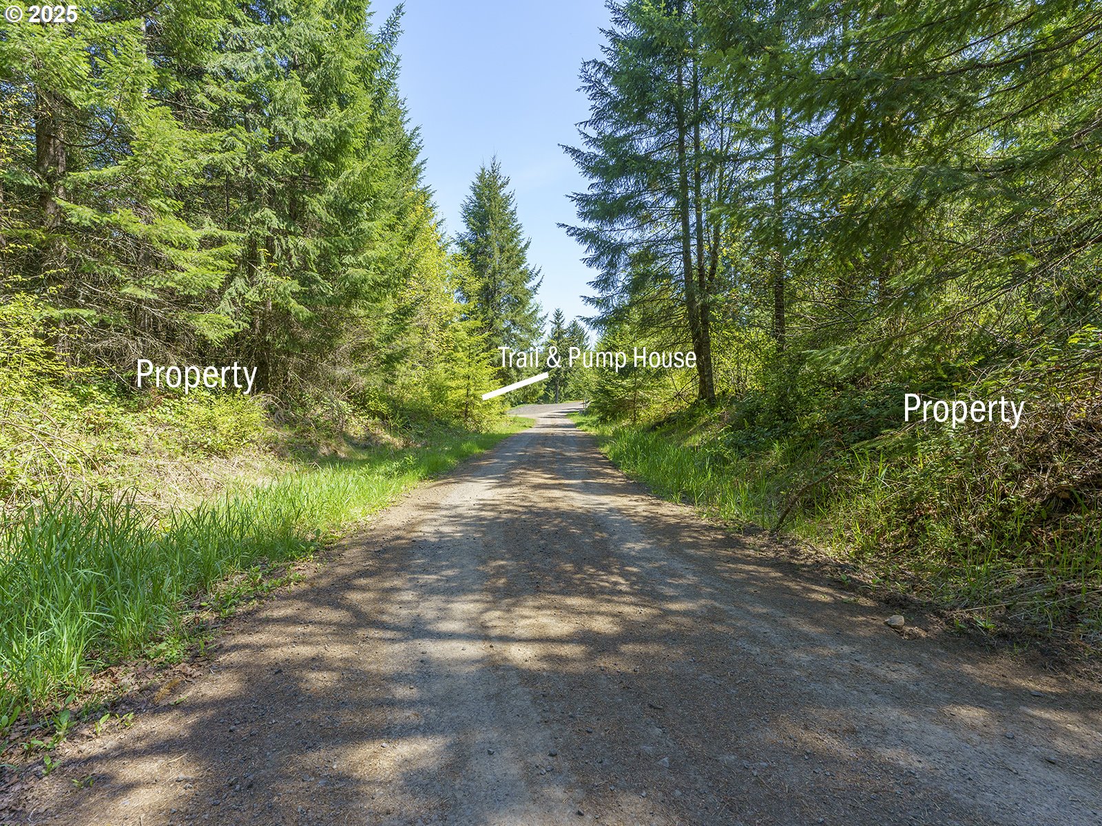 25308 Nw Mountain Dr Property Photo 13