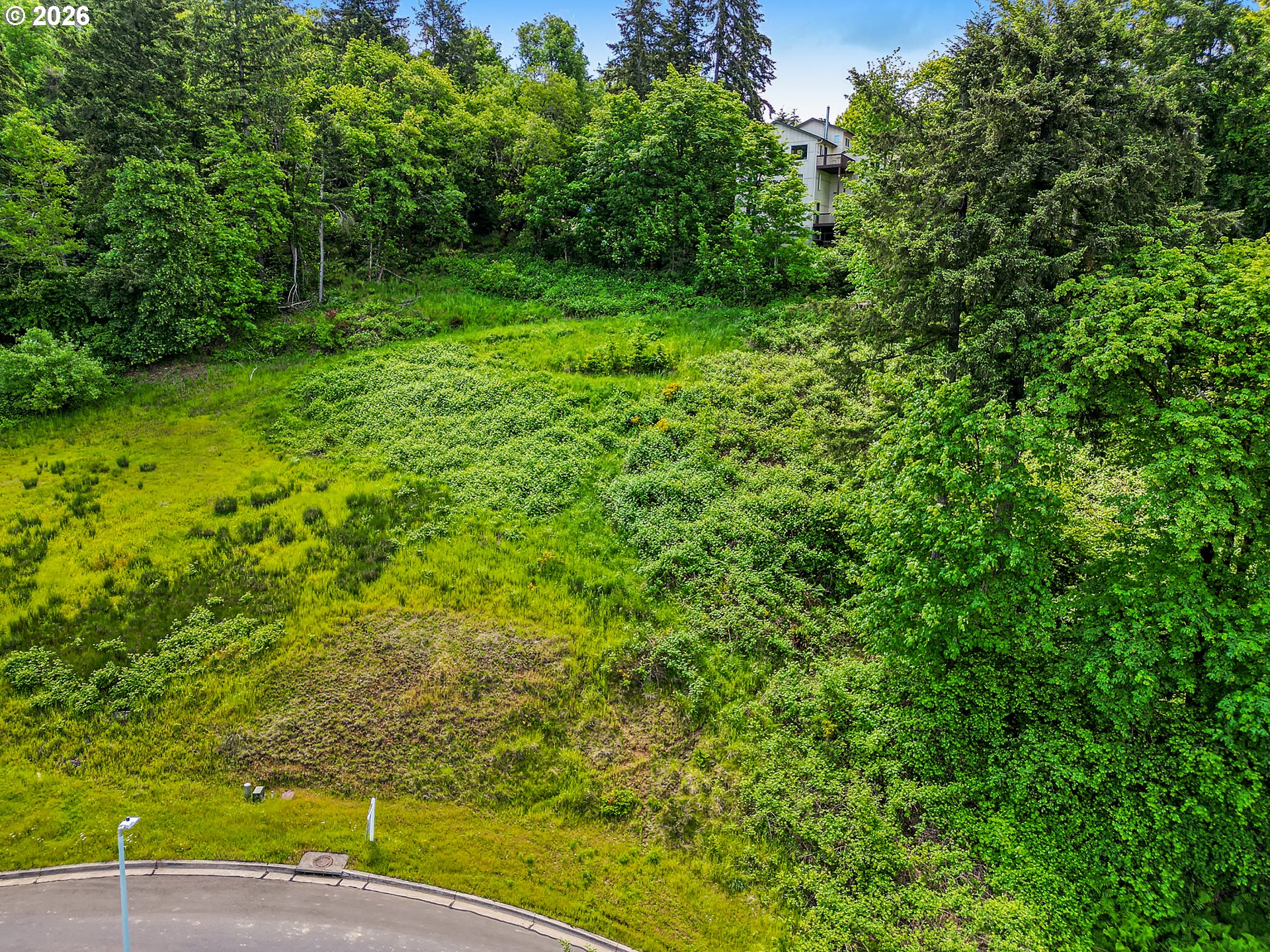 Aerie Park Pl Property Photo 2